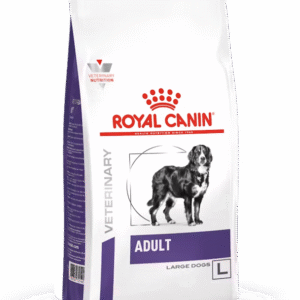 Adult Large Dog Veterinary
