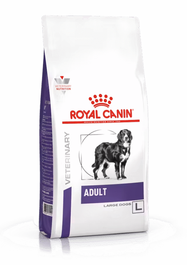 Adult Large Dog Veterinary